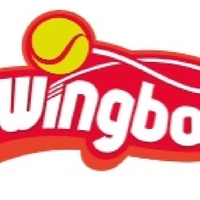 סווינגבול רגיל Swingball Regular