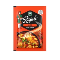 Robertsons Rajah Hot Curry Powder 7gr