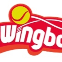 Swingball All Surface Junior Set