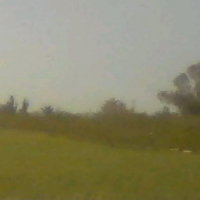 נוף, ארץ | LANDscape