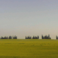 נוף, ארץ | LANDscape