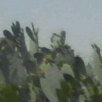 נוף, ארץ | LANDscape