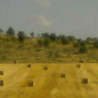 נוף, ארץ | LANDscape