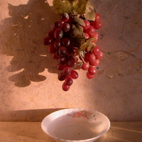 טבע דומם | still life