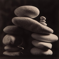 טבע דומם | still life