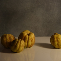 טבע דומם | still life