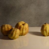 טבע דומם | still life
