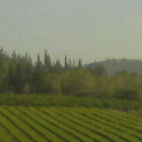 נוף, ארץ | LANDscape