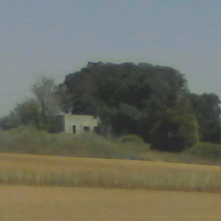נוף, ארץ | LANDscape