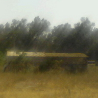 נוף, ארץ | LANDscape
