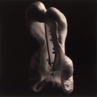 טבע דומם | still life