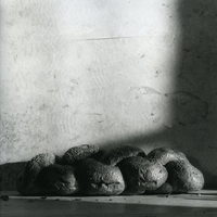 טבע דומם | still life