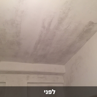 דריילוק 15 - אקסטרים צבע איטום נגד רטיבות ועובש