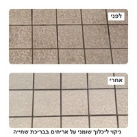 תכשיר לניקוי סילרים, ווקס ושמנים SAG