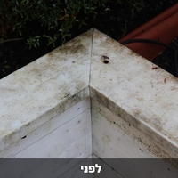 מרענן ומבהיר עץ All Purpose Deck Wash Flood