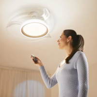 מאוורר תקרה זהב להבים נשלפים Bliss Philips