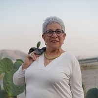 שרשרת זהב סרוגה עם תליון מפת ישראל | דגם ארץ