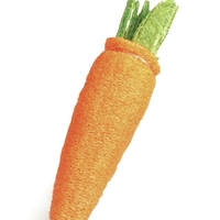 צעצוע בצורת גזר למכרסמים