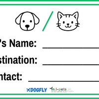 מארז נלווה לכלוב טיסה