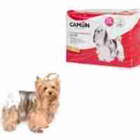 טיטולים חד פעמיים - לכלב