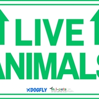 מארז נלווה לכלוב טיסה