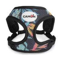 ריתמה לכלב קטן - קמון