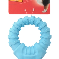 צעצוע מצפצף לכלב