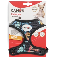 ריתמה לכלב קטן - קמון