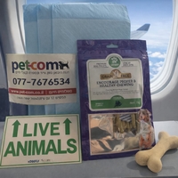 מארז נלווה לכלוב טיסה