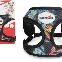 ריתמה לכלב קטן - קמון