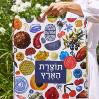 מזוודת כפיר