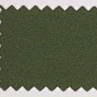 לייקרה בגד ים צבע ירוק יער דגם malaga