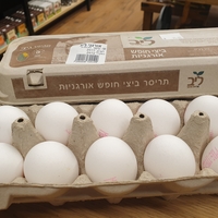 ביצים אורגניות תריסר