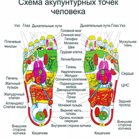 Аппликатор Ляпко Стельки
