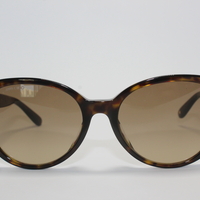  משקפיי שמש JIMMY CHOO