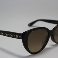  משקפיי שמש JIMMY CHOO