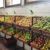 בסטה לפירות וירקות בשילוב סלסלות במגוון מידות