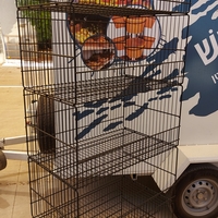 מדפי רשת על גלגלים