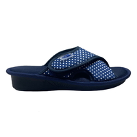 פיט פאן רומא עינבל כחול נקודות 2024