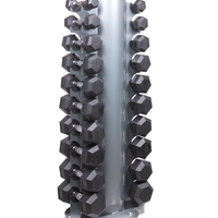 סטנד מעמד מקצועי ל 20 משקולות יד דמבלס