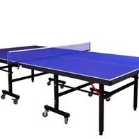 TENNIS TABLE FOLDING INDOOR SWAG IN