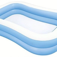 בריכה משפחתית מתנפחת INTEX – מאורכת ונוחה 56×175×262 ס