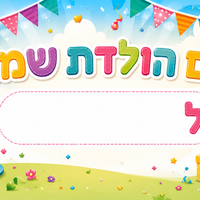 שמשונית גודל 80*160