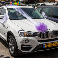 קישוט רכב בסגול