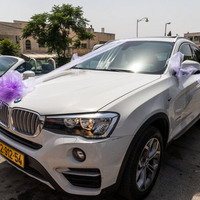 קישוט רכב בסגול
