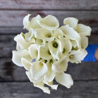 Francesca's bridal bouquet