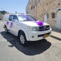 קישוט טנדר בסגול