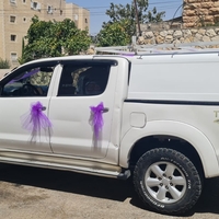 קישוט טנדר בסגול