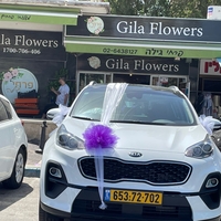 קישוט רכב לבן סגול
