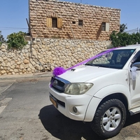 קישוט טנדר בסגול